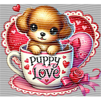 Valentine's Day-QRJ  2053